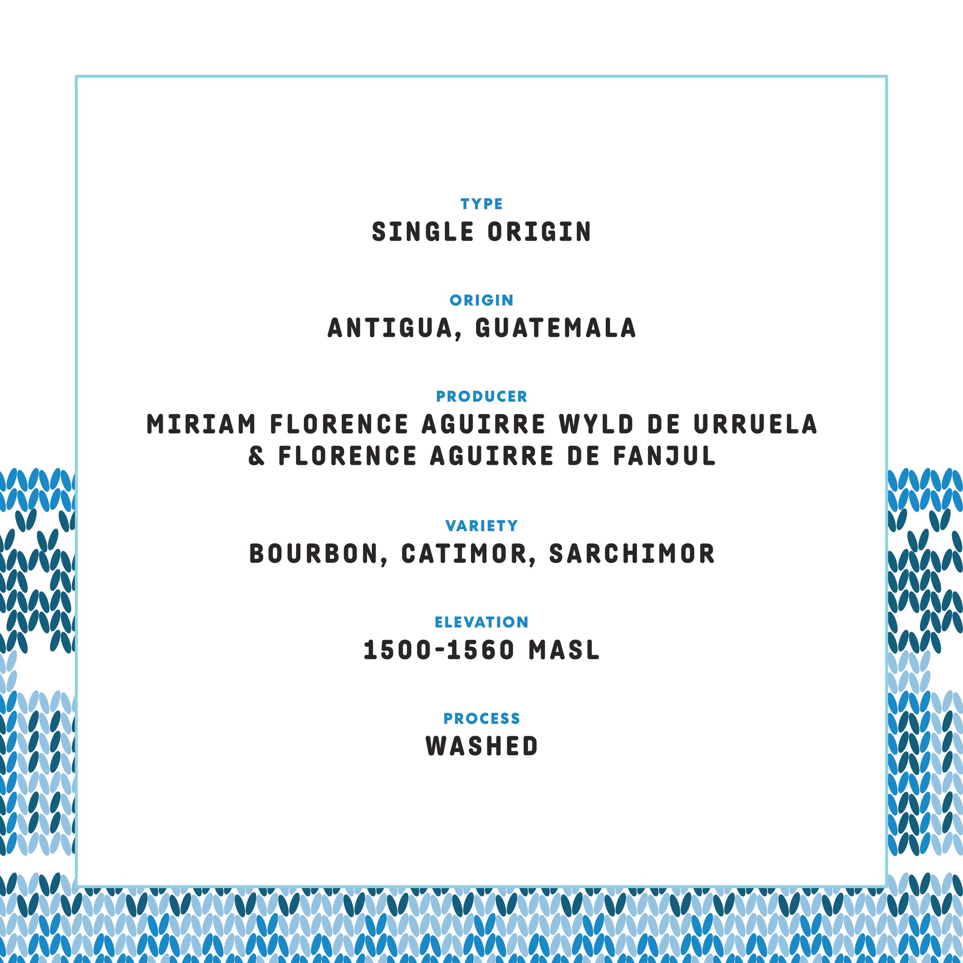 Rockefeller Holiday Coffee 2025 - 12oz Whole Bean